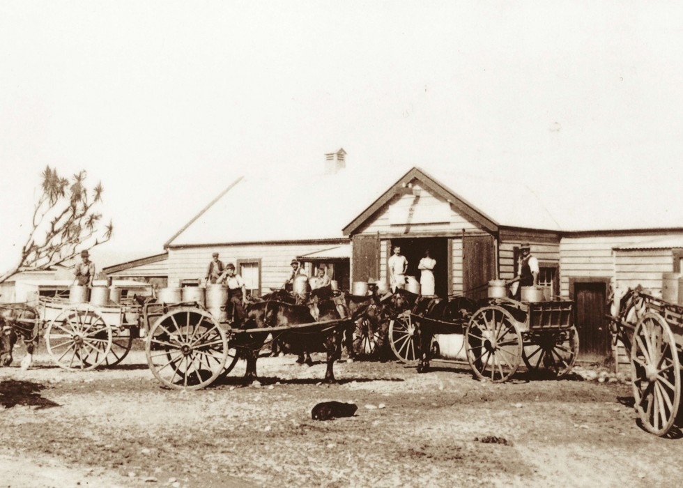 milk delivery with horse drawn carts